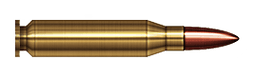 bullet